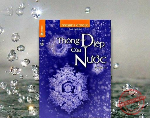 Review Sách Thông Điệp Của Nước