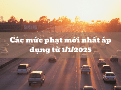 Các mức phạt mới nhất áp dụng từ 1/1/2025