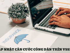 Yêu cầu cập nhật căn cước công dân trên thuế trước 31/3/2025