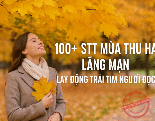 100+ Status hay, lãng mạn về mùa thu🌿🍁