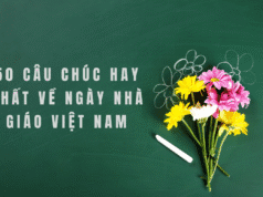 50 Câu chúc hay nhất ngày Nhà giáo Việt Nam 20/11 – Gửi lời tri ân sâu sắc