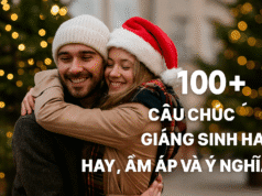 100+ Câu chúc Giáng Sinh hay, ấm áp và ý nghĩa